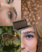 Fawn Everything Lashes .03mm (20 Rows/Tray)